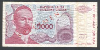 Bosnia (serbian Republic) - Specimen - 5000 Dinara Note P 149 Zero Serial (f) photo