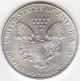 1993 U.  S.  Silver American Eagle $1 One Dollar 1 Oz Bullion Coin - Unc Silver photo 1