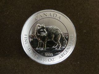 2014 1 1/2 Oz Silver Arctic Fox Coin 9999 Canada Bu Fine Silver 2nd Release photo