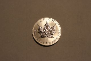 2013 1 Troy Oz Canadian Silver Maple Leaf.  9999 Pure Silver Coin. photo