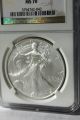 2005 Silver Eagle Ms - 70: Ngc $220+ Flawless Silver photo 2