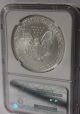 2005 Silver Eagle Ms - 70: Ngc $220+ Flawless Silver photo 3