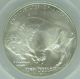 2001 - D Anacs Ms69 Buffalo Modern Commemorative Silver Dollar - $1 - 4332771 Commemorative photo 3