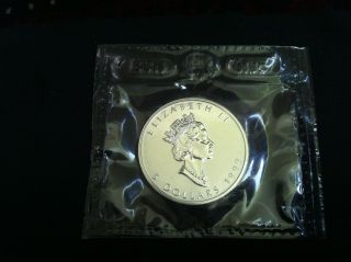 1999 Silver Maple Leaf Coin Rcm photo