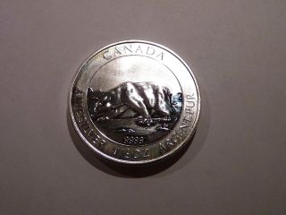2013 Canada Polar Bear $8 Face Value 1.  5 Oz.  9999 Pure Silver 15 Coin Tube photo