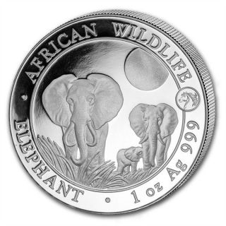 Somalia - Elephant Privy 2014 (year Of The Horse) - 1oz Silver Coin - Only 5000 photo