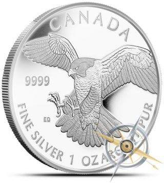 ((look) 1 Oz.  Silver Canadian 