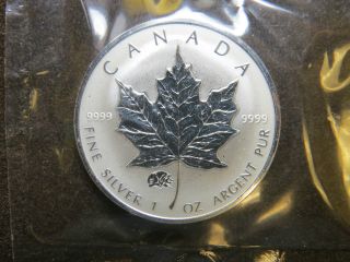 2000 1 Oz Silver Maple Leaf Privy Mark Coin Year Of The Pig $5 Canada 9999 Proof photo