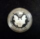 1990 - S Proof Silver Eagle In With Silver photo 2