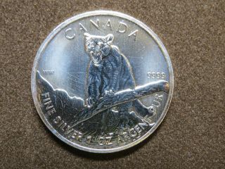2012 1 Oz Cougar Silver Maple Leaf Coin $5 Canadian Wildlife Canada 9999 photo