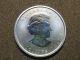 2012 1 Oz Cougar Silver Maple Leaf Coin $5 Canadian Wildlife Canada 9999 Silver photo 6