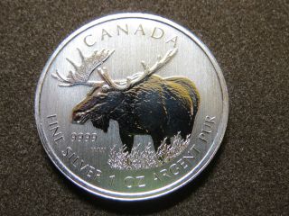2012 1 Oz Moose Silver Maple Leaf Coin $5 Canadian Wildlife Canada 9999 photo