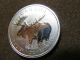 2012 1 Oz Moose Silver Maple Leaf Coin $5 Canadian Wildlife Canada 9999 Silver photo 5