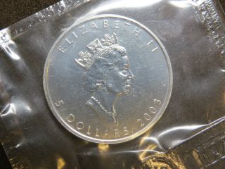 2003 1 Oz Silver Maple Leaf Coin Canada Mylar Pouch Unc photo