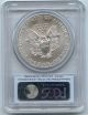 2014 Pcgs Ms 69 Silver American Eagle - First Strike 1 Oz Bullion Coin S1s Kq904 Silver photo 1