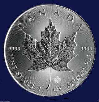 2014 1 Oz Silver Coin Canadian Maple Leaf.  9999 Pure Brilliant Uncirculated photo