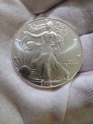 2002 Uncirculated American Silver Eagle.  999 Fine Silver 1 Troy Oz photo