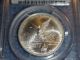 1996 Pcgs Graded Ms69 Mexico Silver Libertad Half Ounce Coin (1/2oz) Half Onza Mexico photo 5