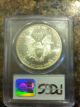 1994 Silver Eagle Dollar Pcgs Ms69 2nd Rarest One Day Only Silver photo 1