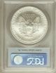 2006 American Eagle Silver Dollar Ms69 First Strike Pcgs Cert Flag Label Silver photo 1