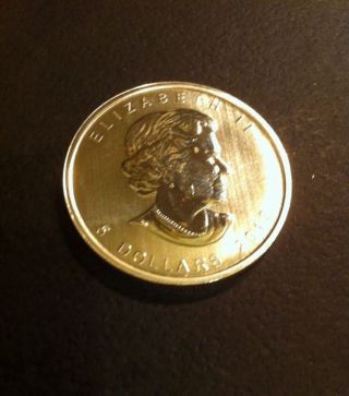 2013 Canadian Maple Leaf Coin - 1 Oz.  9999 Fine Silver - photo