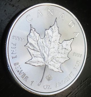 Silver 2014 Canadian Maple Leaf Round {bu} 1 Oz.  9999 Fine Silver Bullion Coin photo