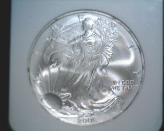 Usa 2006 American Silver Eagle Bullion Coin Ngc Ms69 First Strike Red Label photo