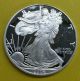 2006 - W American Eagle Silver Proof Coin Silver photo 1