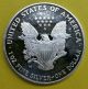2006 - W American Eagle Silver Proof Coin Silver photo 2