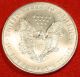American Silver Eagle 2006 W/cherrywood Case 1 Oz.  999% Bu Collector Coin Gift Silver photo 2