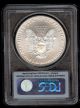 First Strike 2010 American Silver Eagle Pcgs Ms70 Silver photo 1