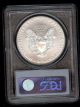 2009 American Silver Eagle Pcgs Ms70 - Spotted Silver photo 1