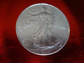 2014 Silver Eagle Bu Silver photo