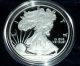 2010 W Ultra Cameo Mirror Back American Eagle Proof Complete With Box & Case Silver photo 1