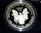 2010 W Ultra Cameo Mirror Back American Eagle Proof Complete With Box & Case Silver photo 2