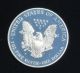 2000 P American Eagle One Ounce Proof 99.  9% Silver Bullion Coin & Silver photo 4