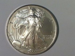 Coinhunters - 2005 American Silver Eagle (ase) State (ms) 1 Oz.  Fine Silver photo