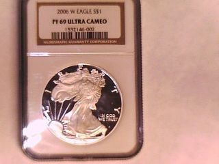 2006 American Eagle One Ounce Fine Silver One Dollar Coin photo