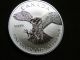2014 1 Oz Peregrine Falcon Silver Maple Leaf Coin $5 Birds Of Prey Silver photo 5