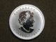 2014 1 Oz Peregrine Falcon Silver Maple Leaf Coin $5 Birds Of Prey Silver photo 7