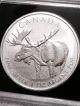 2012 Canada Moose Wildlife Series 1oz.  999 Silver Coin Silver photo 1