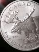 2012 Canada Moose Wildlife Series 1oz.  999 Silver Coin Silver photo 3