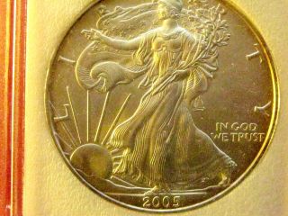 2005.  9993 Silver Bullion American Eagle Anc - Hiest Ms Grade=3503 photo