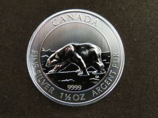 2013 1 1/2 Oz Silver Polar Bear Coin 9999 Canada Bu Fine Silver 1st Release photo