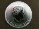 2013 1 1/2 Oz Silver Polar Bear Coin 9999 Canada Bu Fine Silver 1st Release Silver photo 5