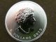 2013 1 1/2 Oz Silver Polar Bear Coin 9999 Canada Bu Fine Silver 1st Release Silver photo 7