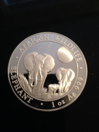 2014 Somali Republic African Wildlife Elephant Silver Coin 1 Oz.  999 Pristine photo