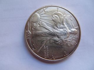United States Silver Dollar,  2002 photo