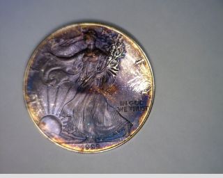 Monster Toned Purple & Blue American Eagle Silver $1 Dollar photo