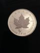 2014 Silver Maple Leaf - Horse Privy - Pristine Gradable Maple Reverse Silver photo 2